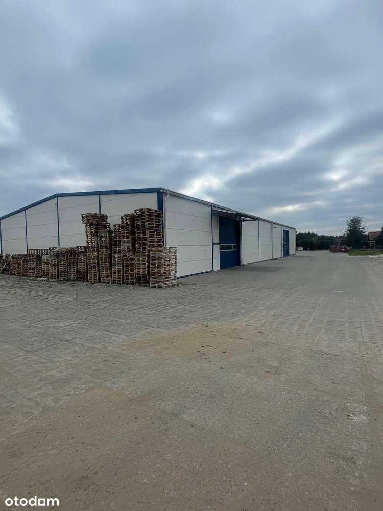 Wynajmę hale 840 m2 - Pełny obrazek: 5/8