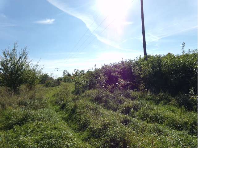 Działka o pow. 1001 m2 w Ługwałdzie ul. Bukszpanowa - Pełny obrazek: 3/5