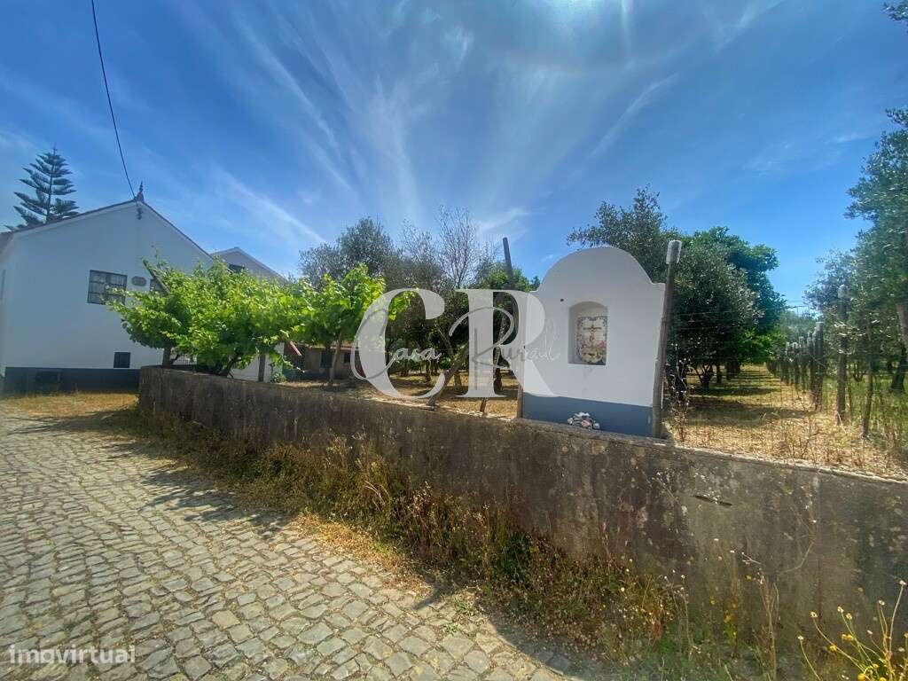 Casa típica portuguesa em pedra com excelente área de terreno em Figue - Grande imagem: 3/43
