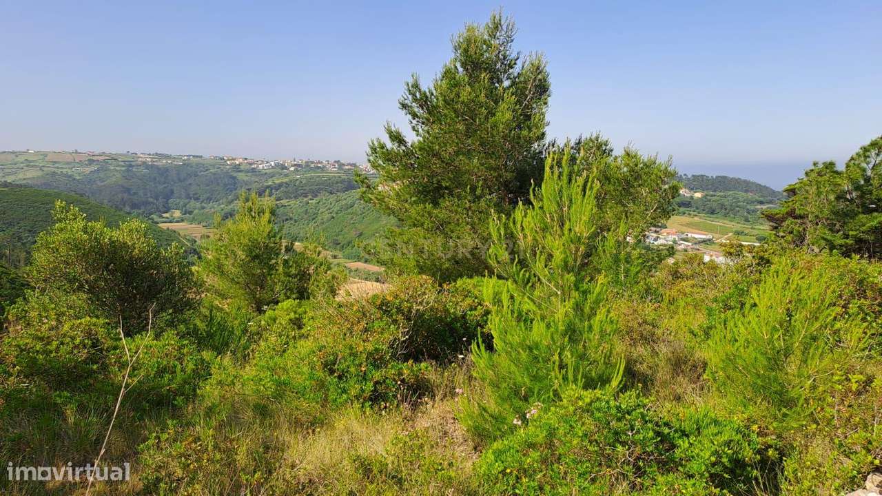 Terreno Rústico junto ao Forte do Zambujal e Trilho da Carvoeira - Grande imagem: 4/18