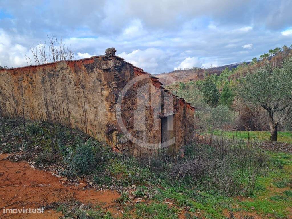 Terreno em Lavacolhos-7