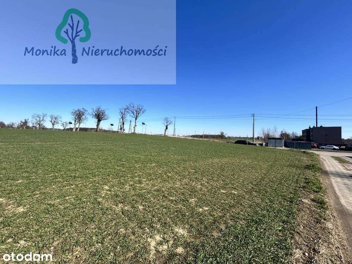 Działki z warunkami zabudowy Turze - Leśna - Pełny obrazek: 4/16