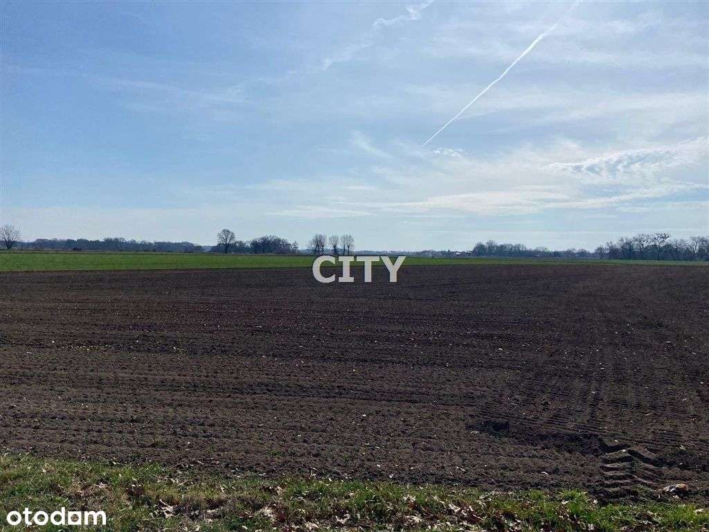 Działka, 5 500 m², Żerniki Małe - Pełny obrazek: 4/5