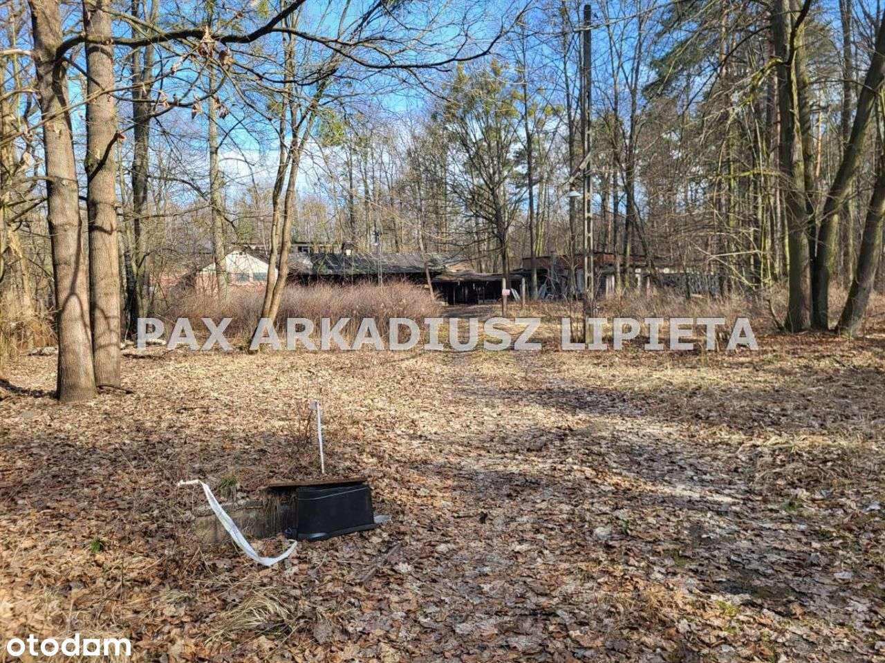 Działka, 4 025 m², Boruszowice-2