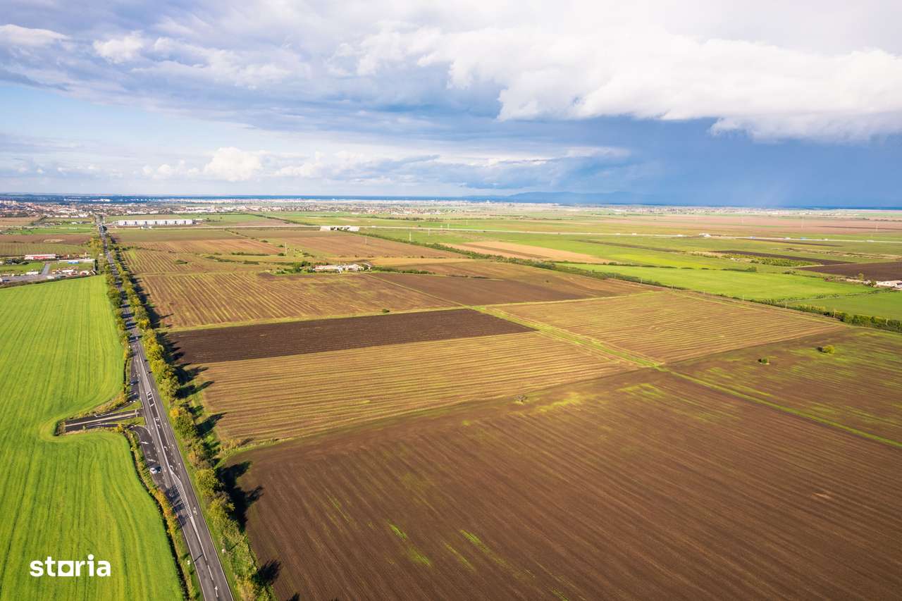 Teren de 100000 mp în Arad - Imagine principală: 2/5