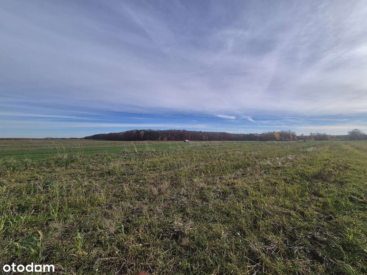 Działka rolna Łochynia w sąsiedztwie autostrady - Pełny obrazek: 4/6