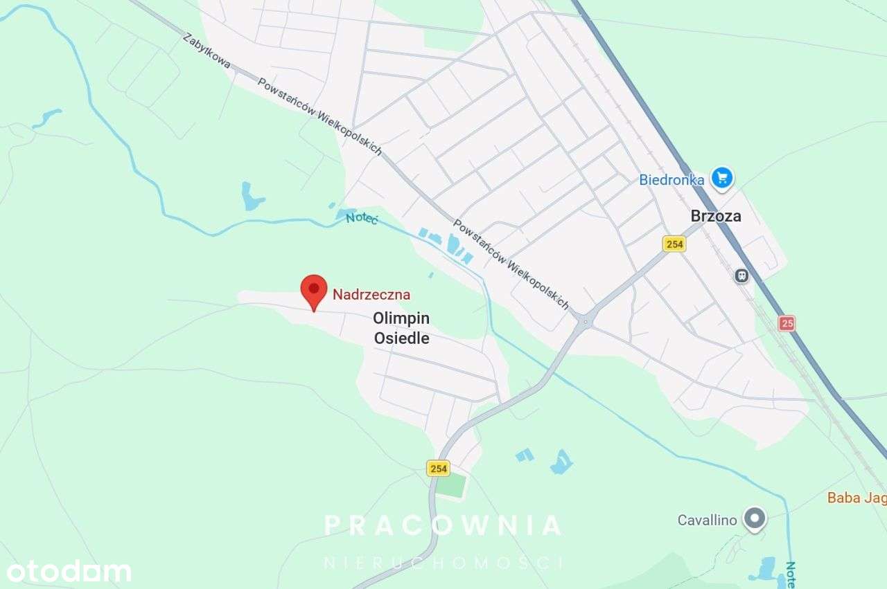 Działka Budowlana – Olimpin - 5832 m² – pohled 3
