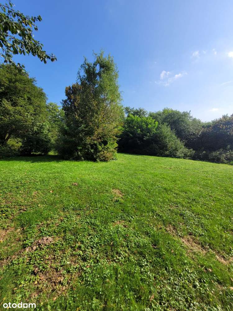 WIĘCKOWICE-DOM WOLNOSTOJĄCY. PRZESTRZEŃ, CISZA, ZIELEŃ.-8