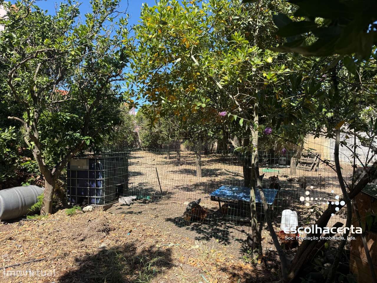 Moradia emblematica em Quinta do Anjo-32
