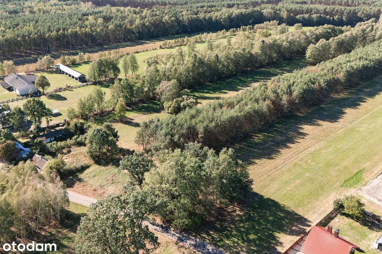 Działka z WZ gotowa na budowę | spokój, zieleń i własny kawałek lasu - Pełny obrazek: 3/9