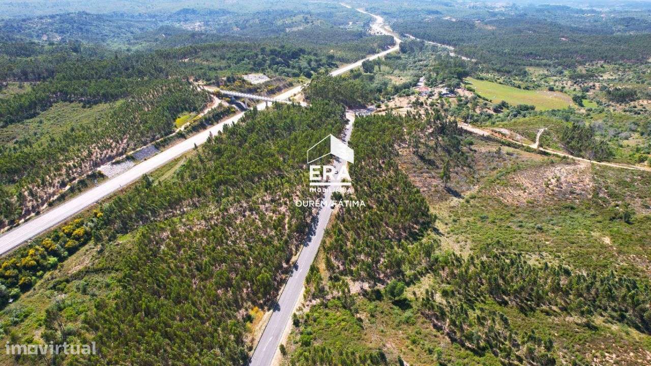 Terreno Rústico localizado em Carregueiros, Tomar - Grande imagem: 4/16
