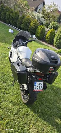 Suzuki GSX - 13