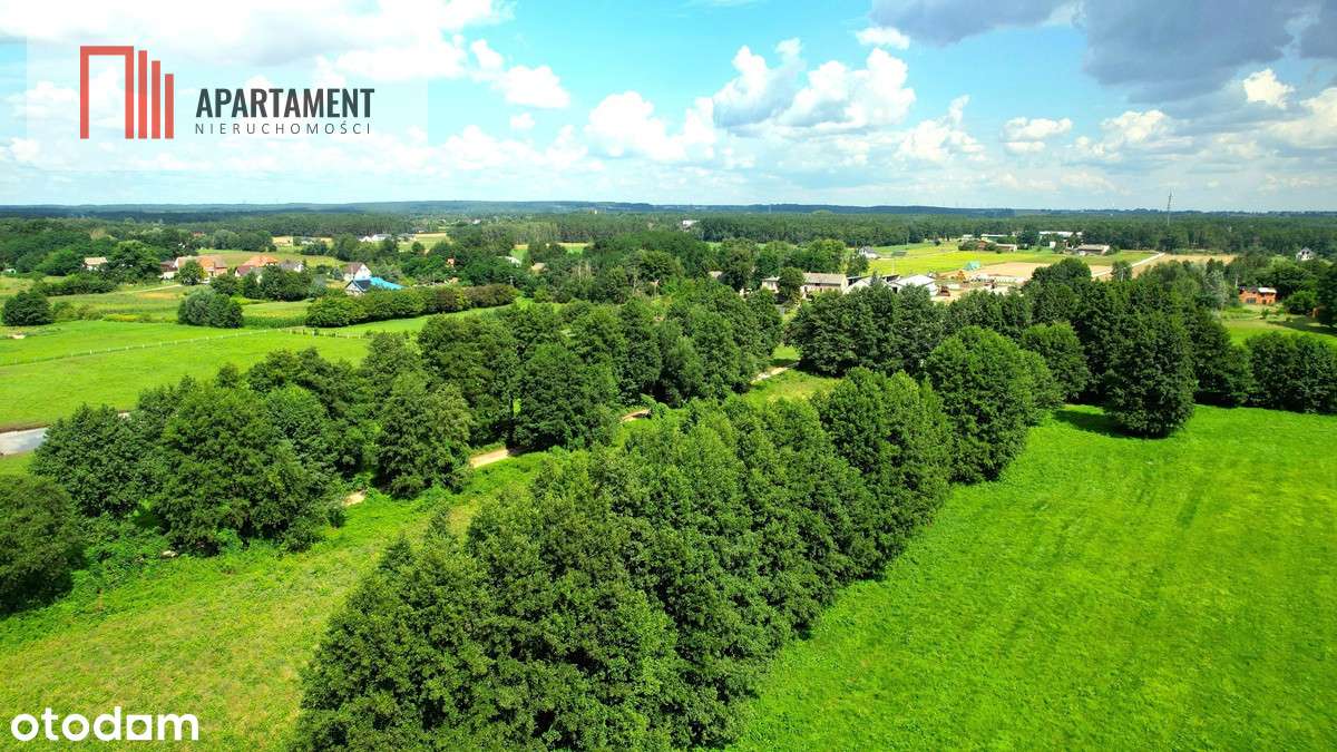 Zławieś Wielka 1468 m2  Projekt Domu W Cenie - Pełny obrazek: 3/13