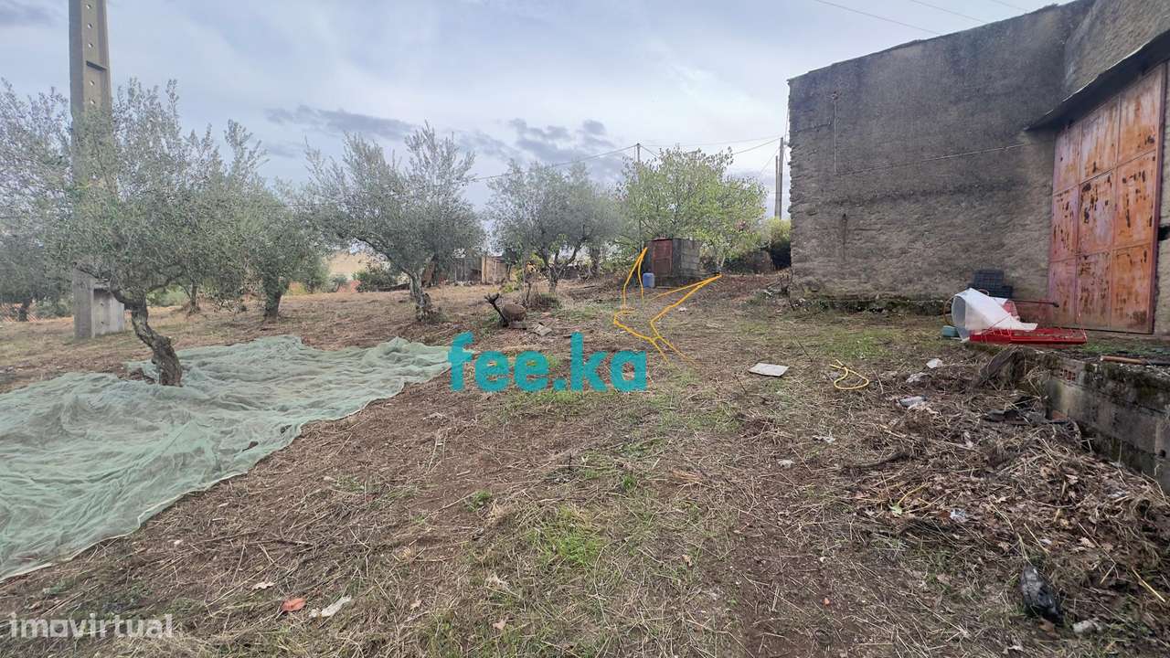 Quintinha-16
