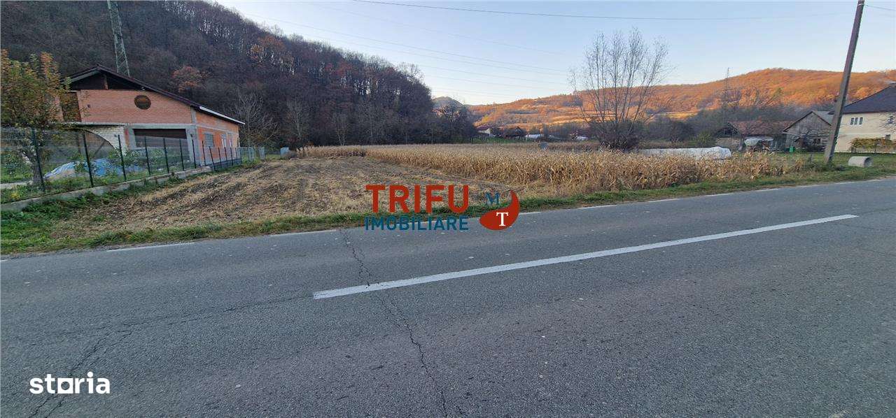 Teren Intravilan în Ampoița 1000mp - Imagine principală: 4/10