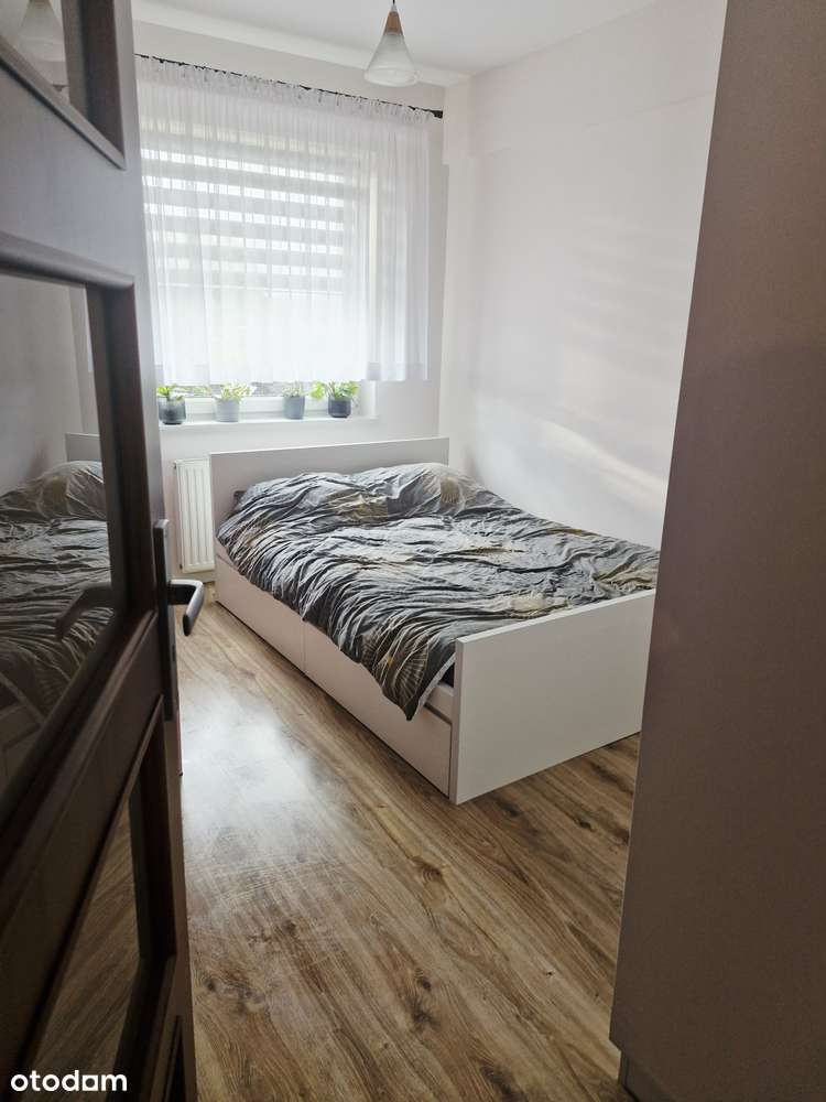 Mieszkanie Strzelin - Pełny obrazek: 4/8