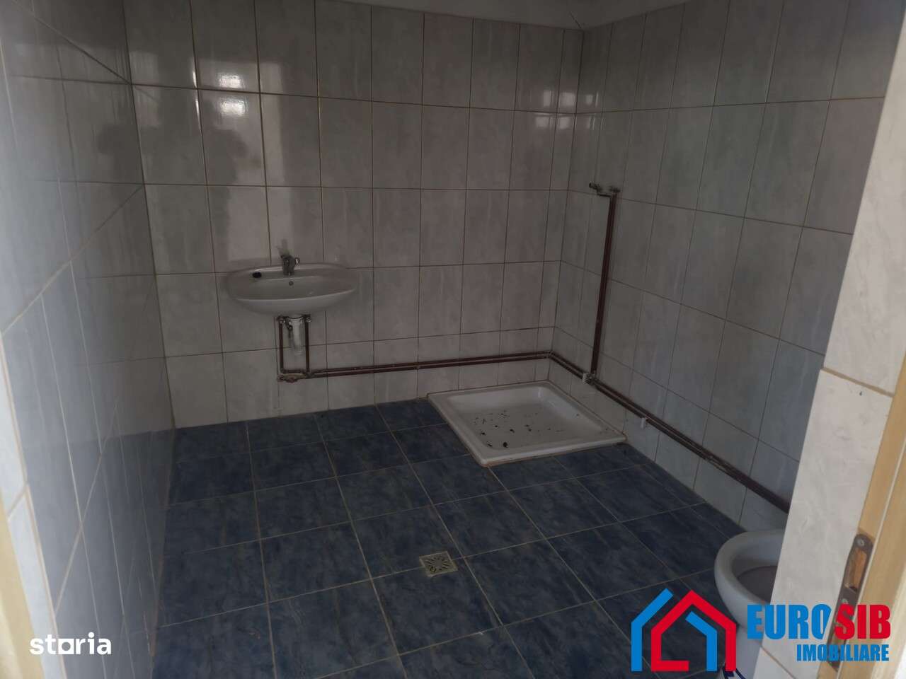 Hala in Sibiu loc Avrig Marsa - Imagine principală: 5/6