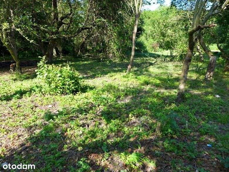 Zwierzyniec, Działka rekreacyjna 300 m2-1