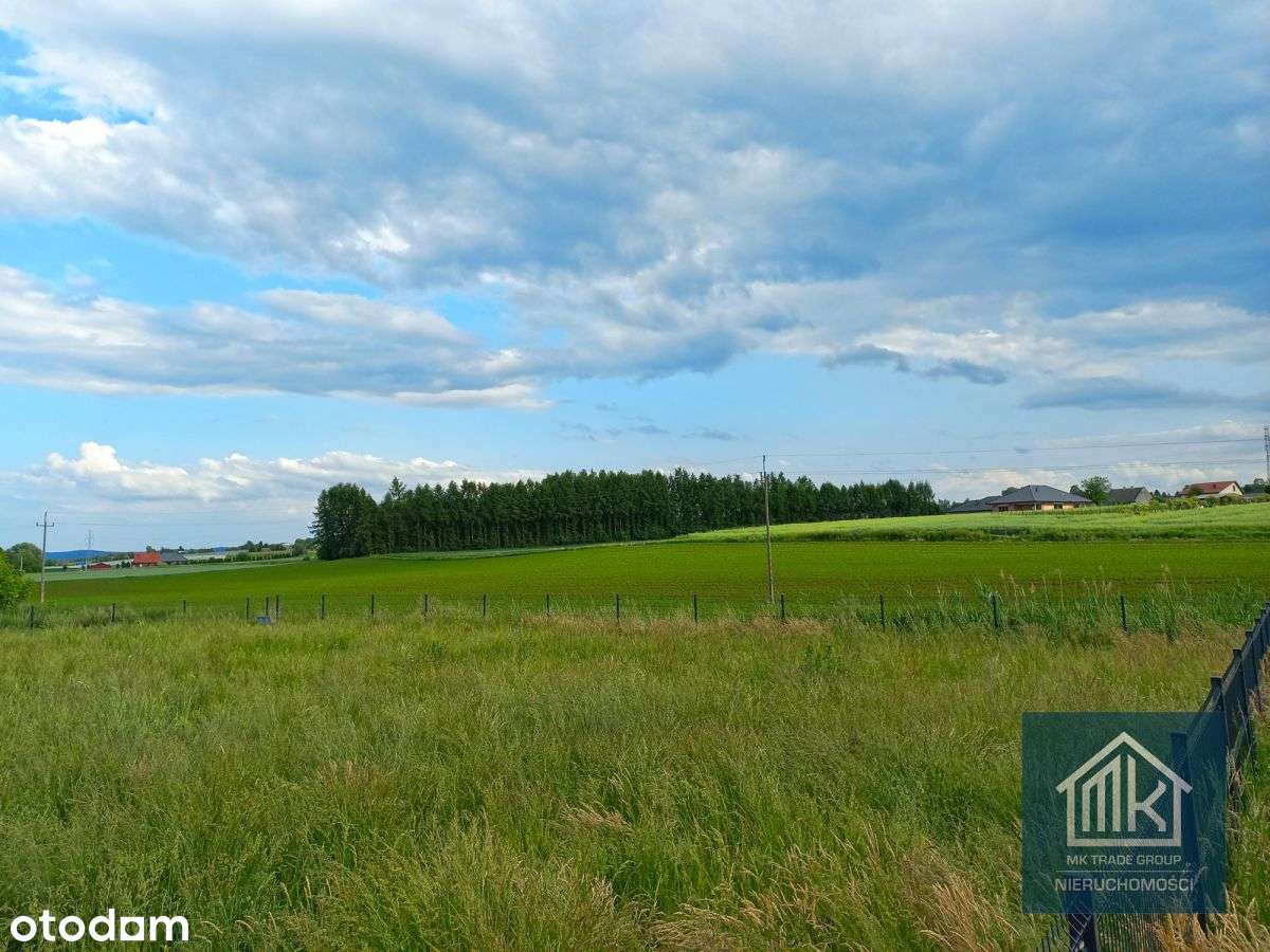 Dąbrowa gm. Kłaj - działka 10ar - 31x31 m - Pełny obrazek: 5/7