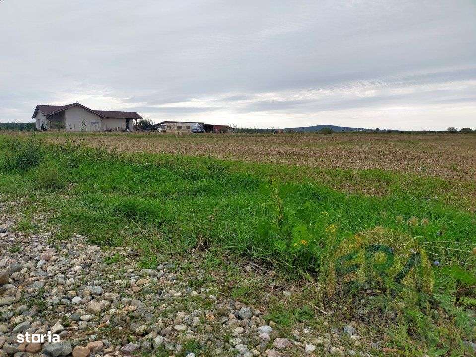 Teren Osorhei, Str. 610 - Imagine principală: 5/8