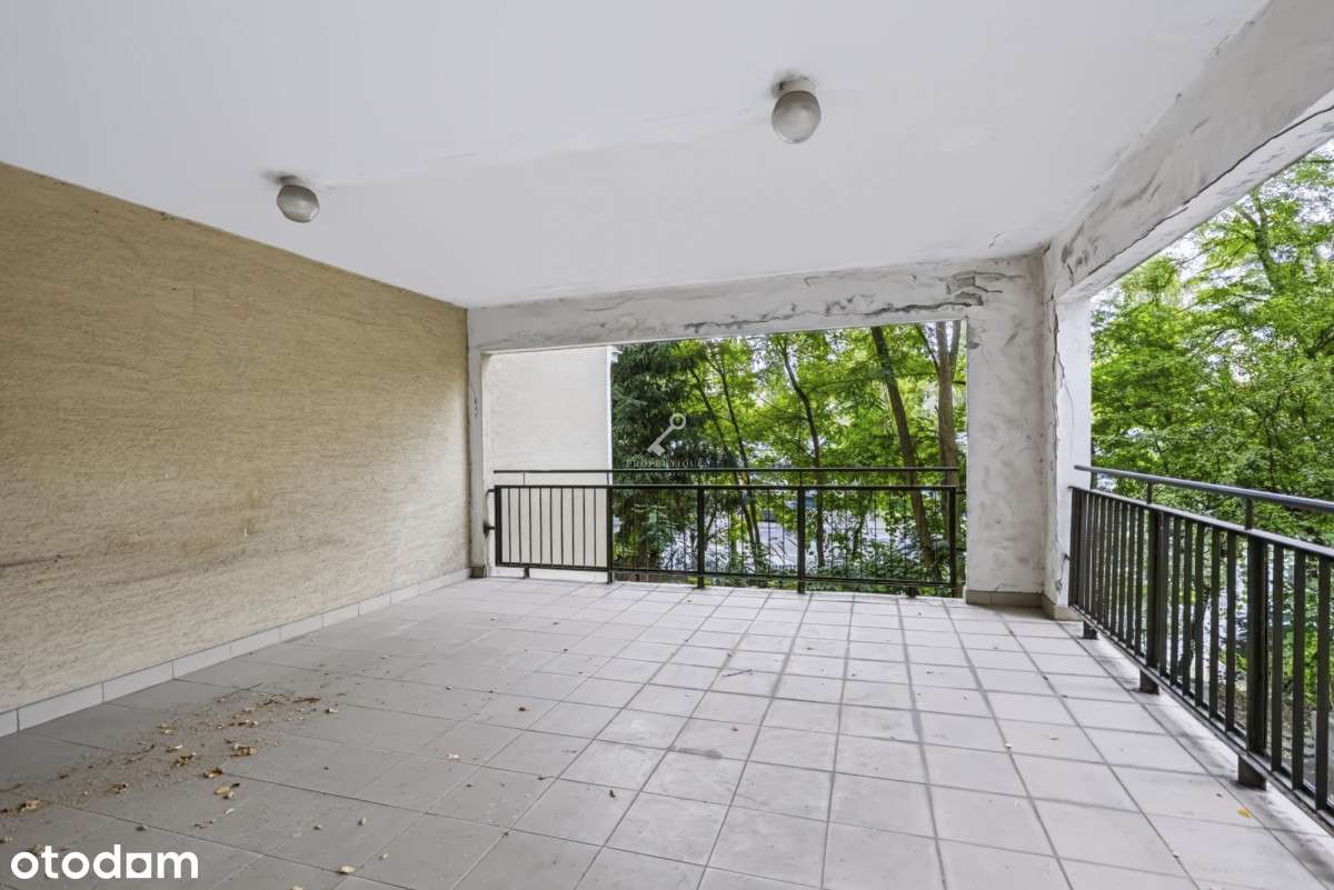 31 m2/Po remoncie/Od zaraz-11