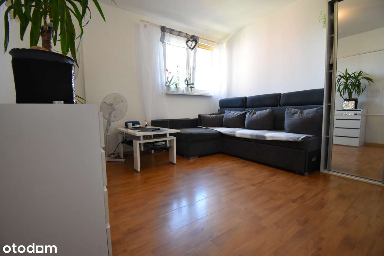 Mieszkanie 2 pokojowe z ogrz miejskim - idealne pod inwestycję! - Pełny obrazek: 4/14