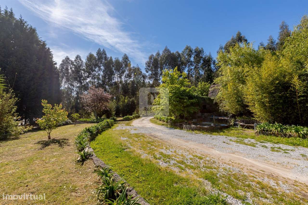 Quintinha com 4 Suites e Piscina | Penafiel - Grande imagem: 5/60