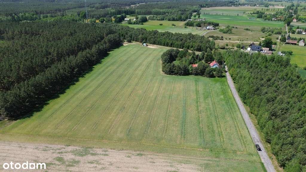 16/17696/OGS - Pełny obrazek: 4/7