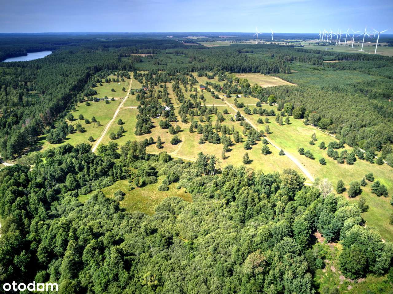 Na sprzedaż działka budowlana, Dołgie, spokojna okolica nad jeziorem - Pełny obrazek: 4/7