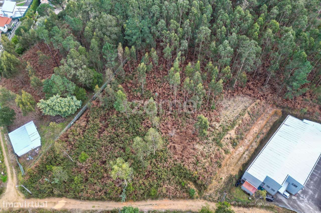 Terreno 3300m2 Vila Chã |São Roque | Oliveira de Azeméis-6