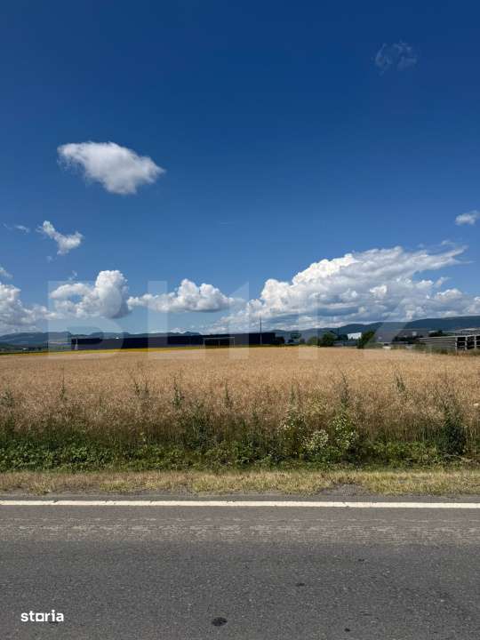 Teren intravilan 20000 mp, Parc Industrial Badeni - Imagine principală: 2/2