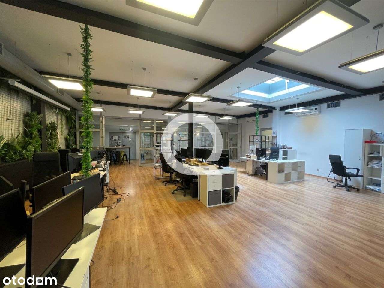 Biuro Na Żabiance Do Wprowadzenia - Pełny obrazek: 2/11