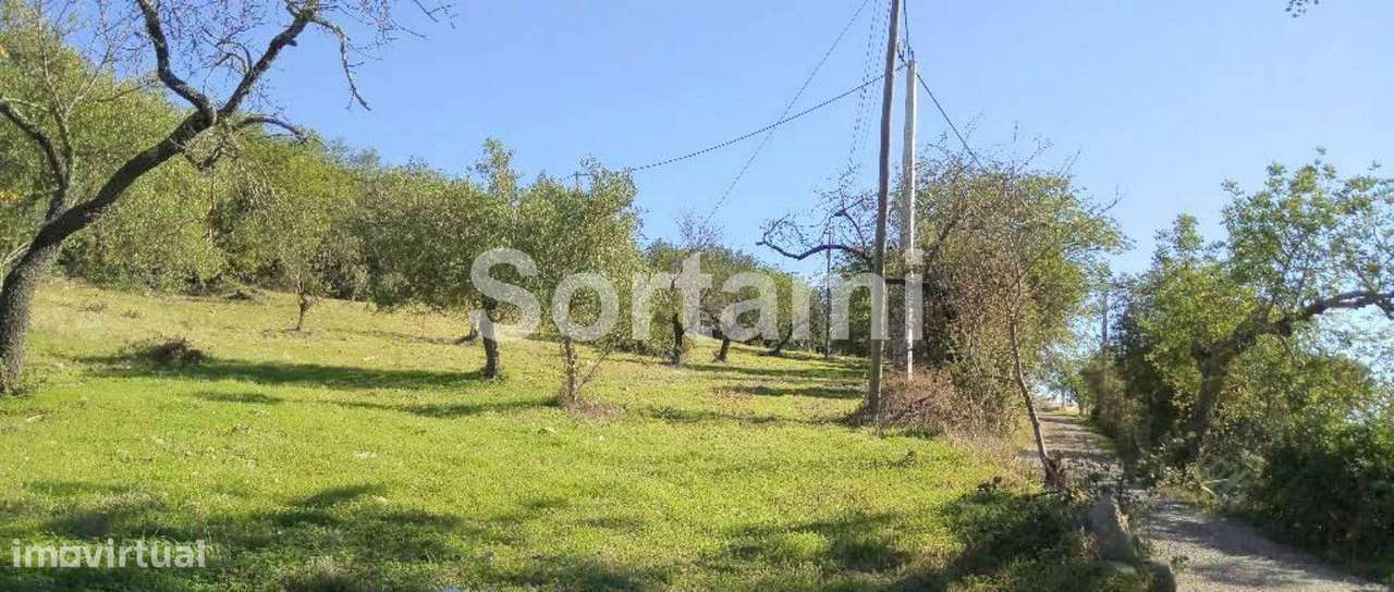 Terreno Rústico  Venda em São Brás de Alportel,São Brás de Alportel - Grande imagem: 5/5