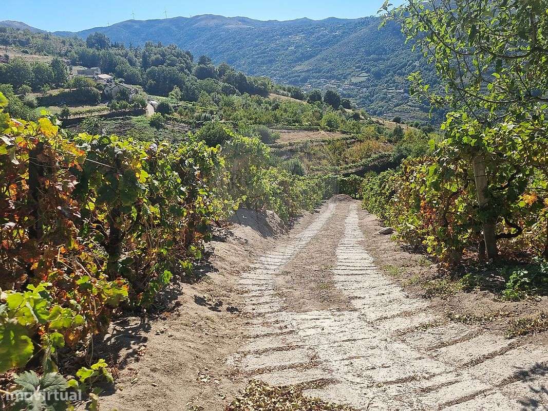 Quinta  para venda-30