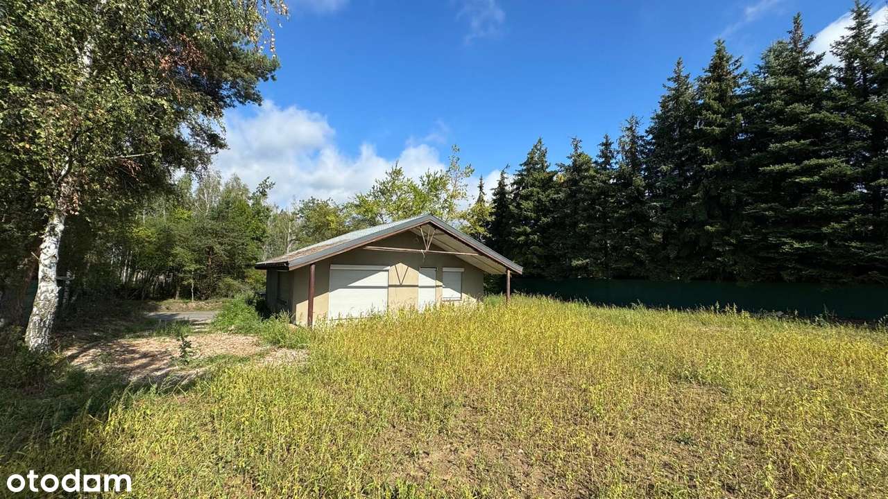 Cudownie położona działka z domkiem i widokiem na jezioro Powidzkie! - Pełny obrazek: 4/15