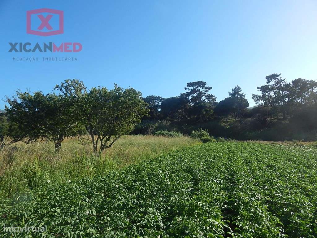 Colares, Terreno Agro florestal - Grande imagem: 5/7