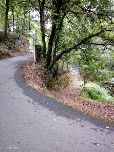 Terreno Gerês Caniçada - Grande imagem: 5/5