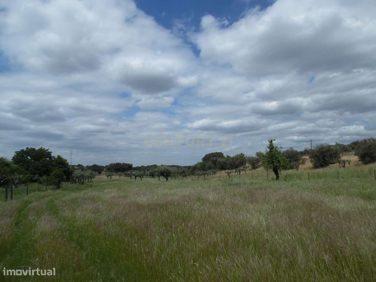 Quinta em Capelins,  Alandroal - Évora,  Oportunidade Única-48