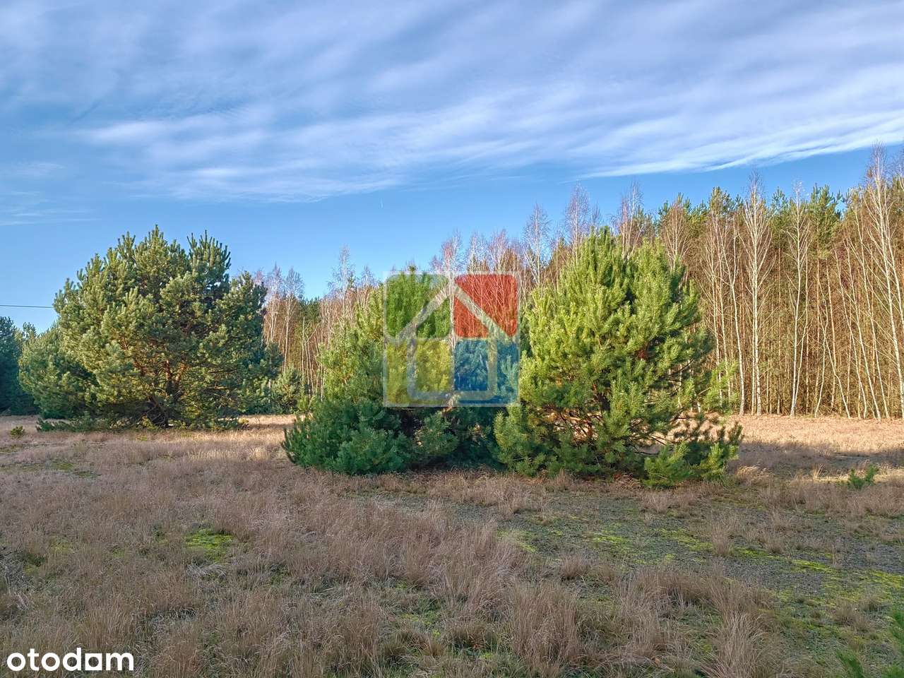Duża działka 3002 m² przy lesie, 100 m od rzeczki-1