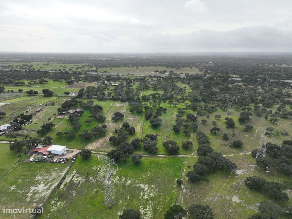 Propriedade Rústica com 11 Hectares junto a Canhestros-30