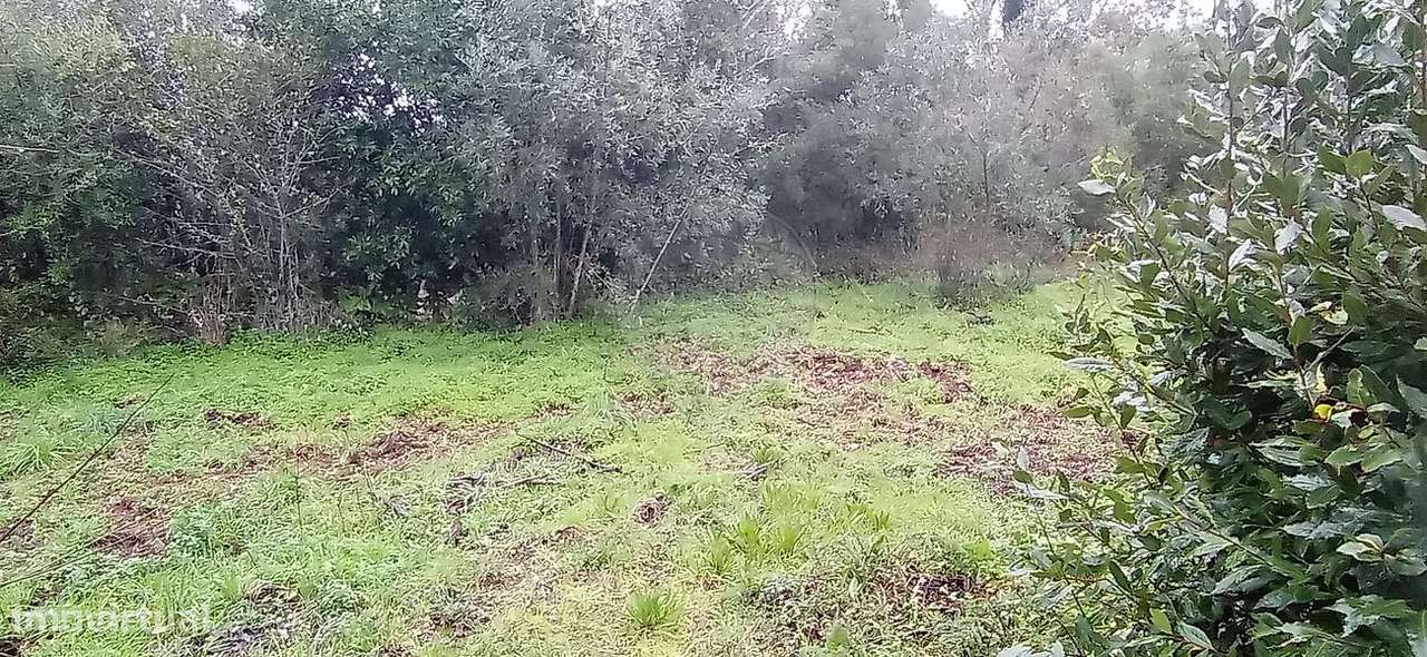 Terreno  para venda - Grande imagem: 2/7