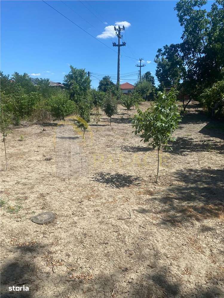 Oportunitate  unica de investitie- teren de vanzare- Prahova-3