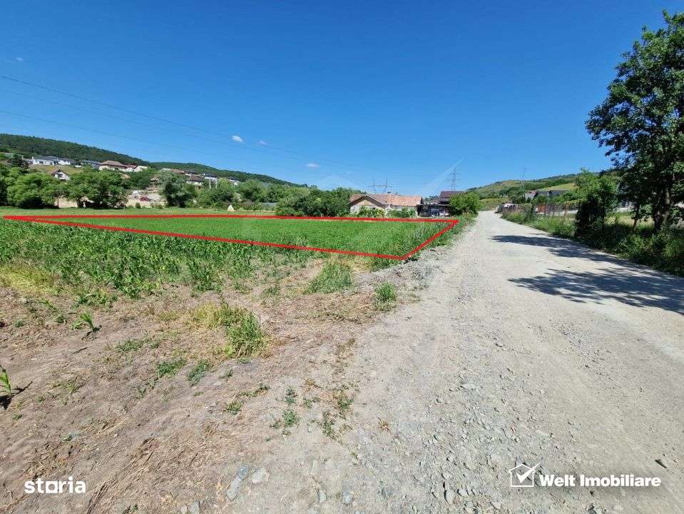 Teren intravilan 2000 mp – Popesti (Baciu) Ideal pentru casa, gradin - Imagine principală: 2/7