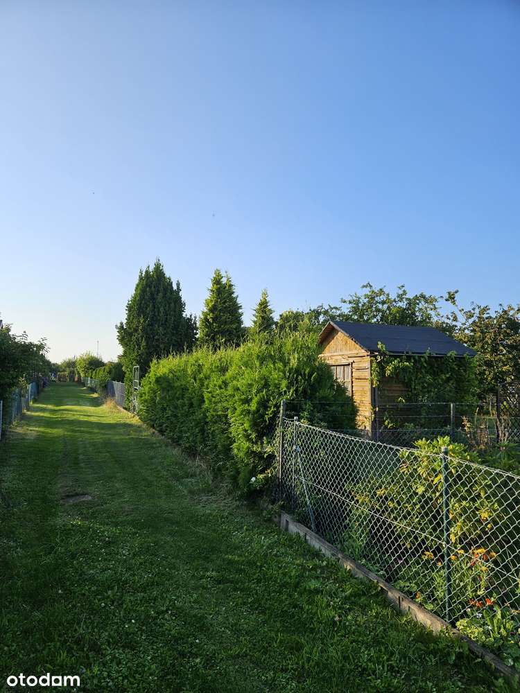 Działka rekreacyjna ROD Obłuże o powierzchni 503 m2 - Pełny obrazek: 3/15