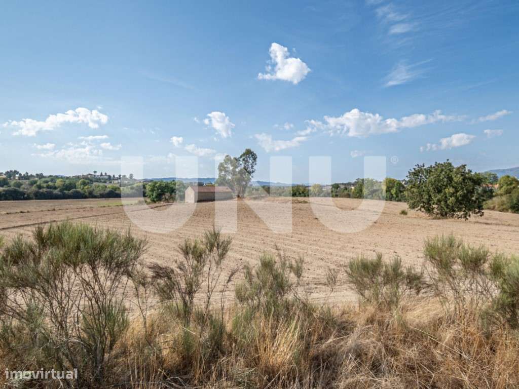 Quinta com 4,41ha para venda em Caria, Belmonte! - Grande imagem: 5/21