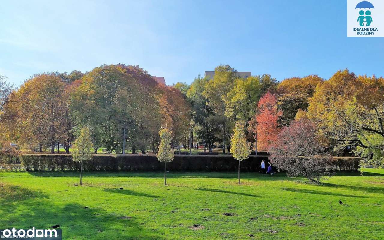 Krowodrza Górka, 3 pokoje, osobna kuchnia-12