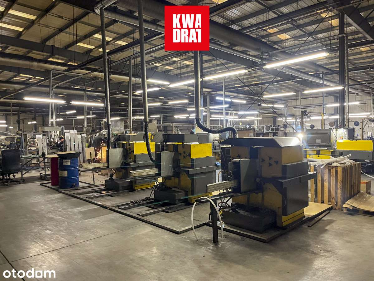 Investment Opportunity: Premium Industrial Complex-14