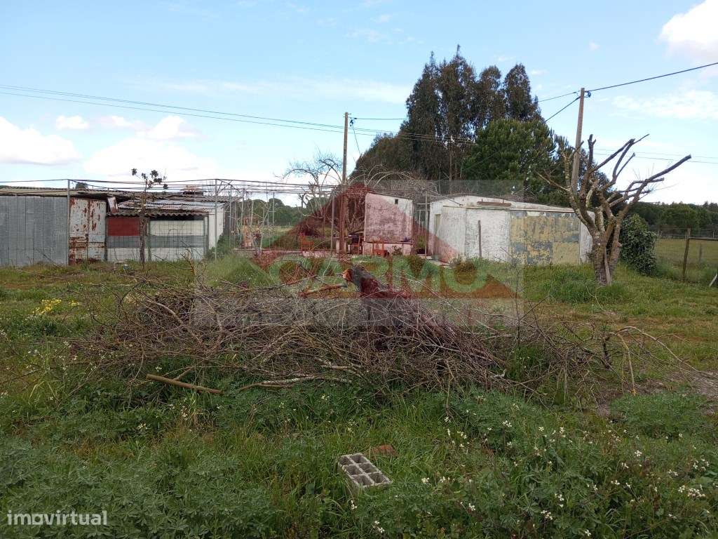 Terreno murado com poço. - Grande imagem: 4/9