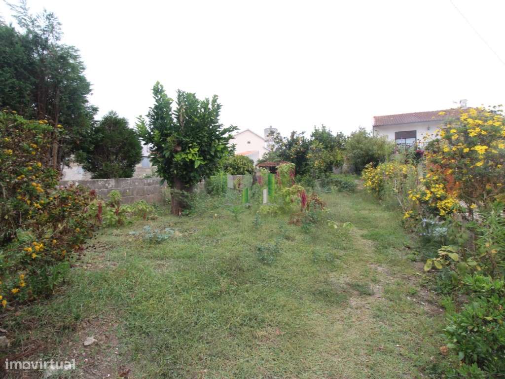 Terreno Rústico no Carqueijo (possibilidade de converter em urbano) - Grande imagem: 4/12