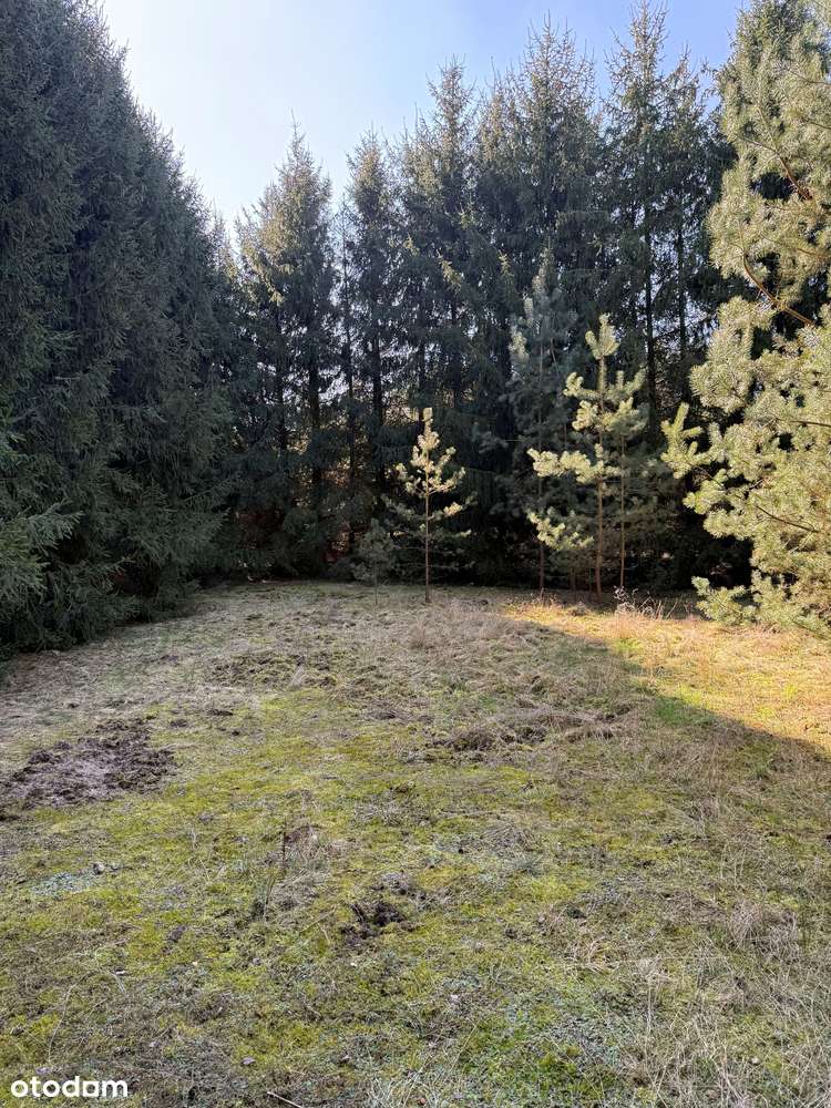 Urokliwa działka budowlana nad jeziorem Laskowskim (200 m do wody)-10